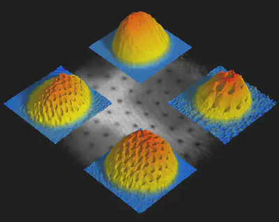 Vortex lattice in a Bose--Einstein condensate of Sodium atoms. Source: [Ketterle group, MIT](http://cua.mit.edu/ketterle_group/).
